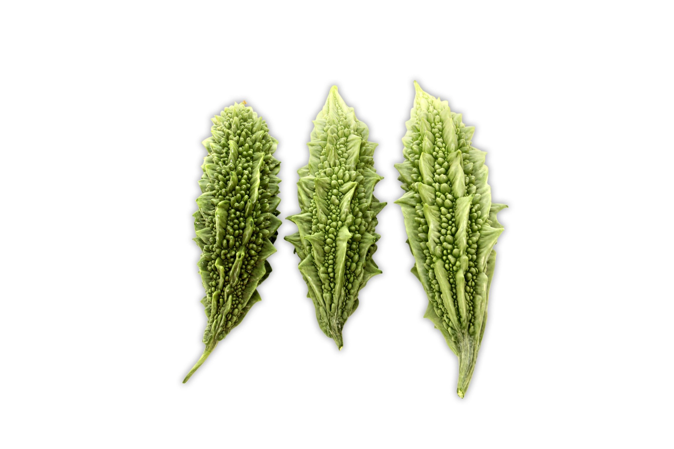 Bitter Melon - Indian