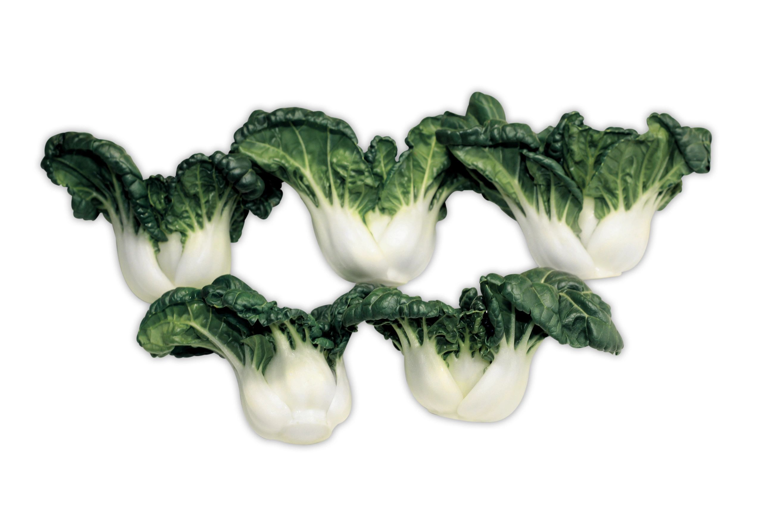 Bok Choy - Baby Mieu