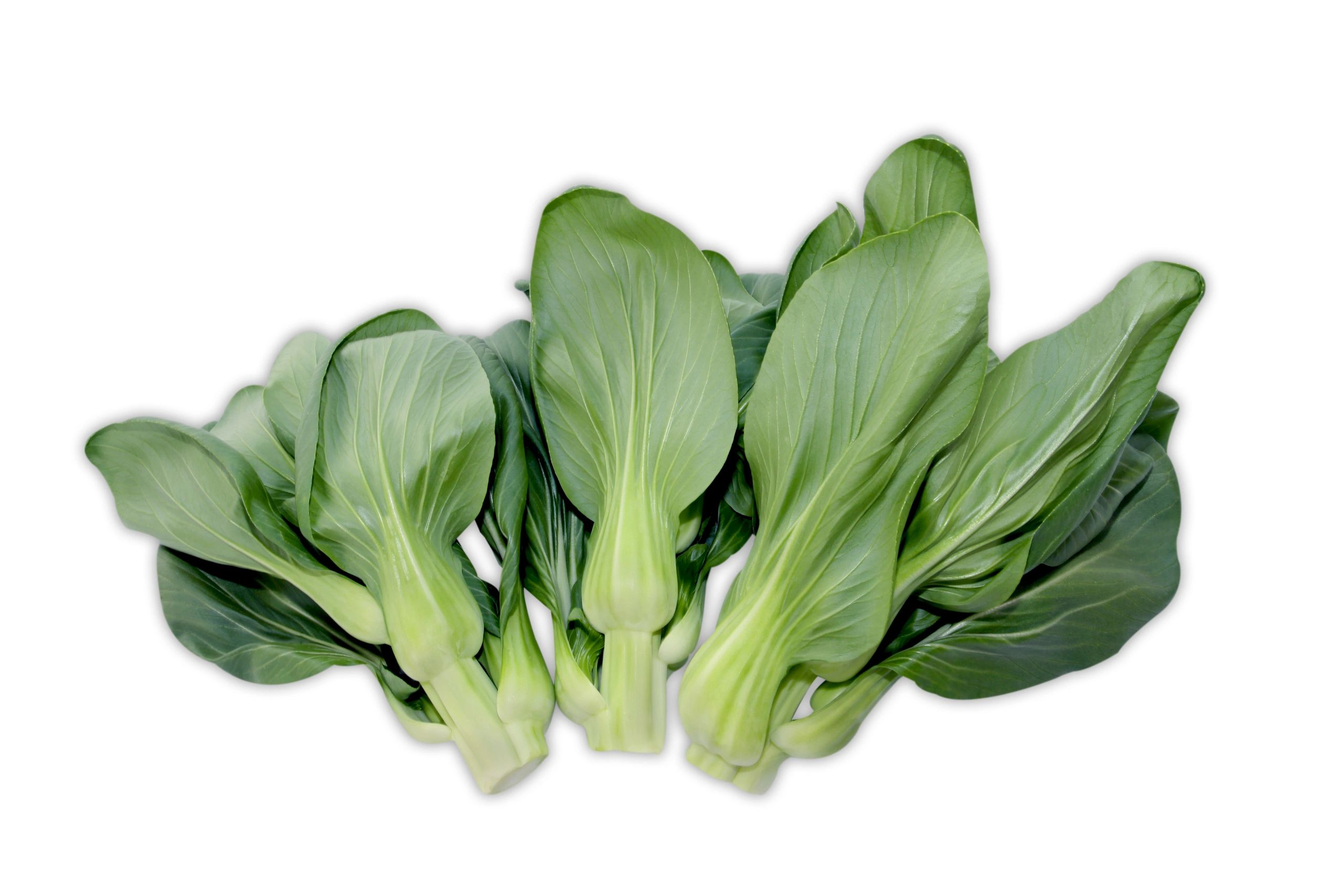 Bok Choy - Shanghai Sum