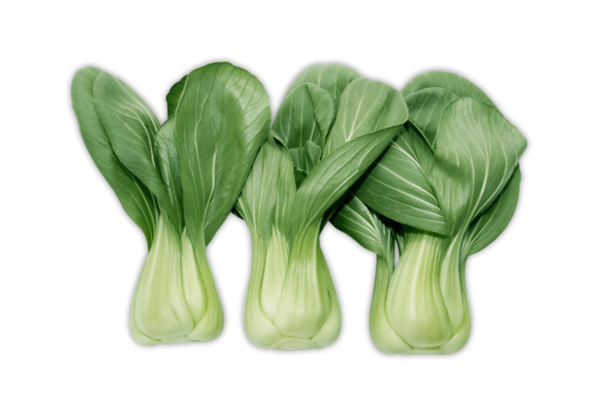 Bok Choy - Shanghai