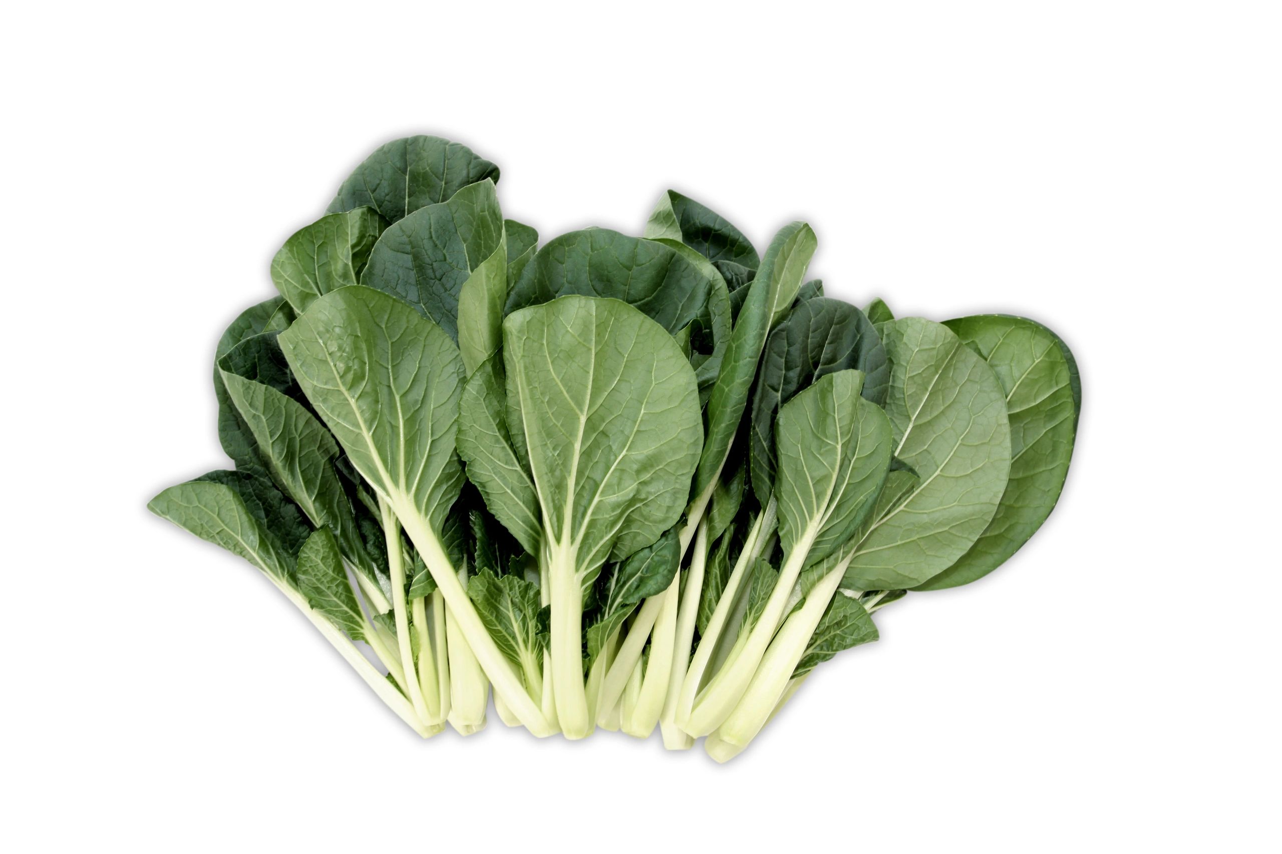 Bok Choy - Sum Mieu