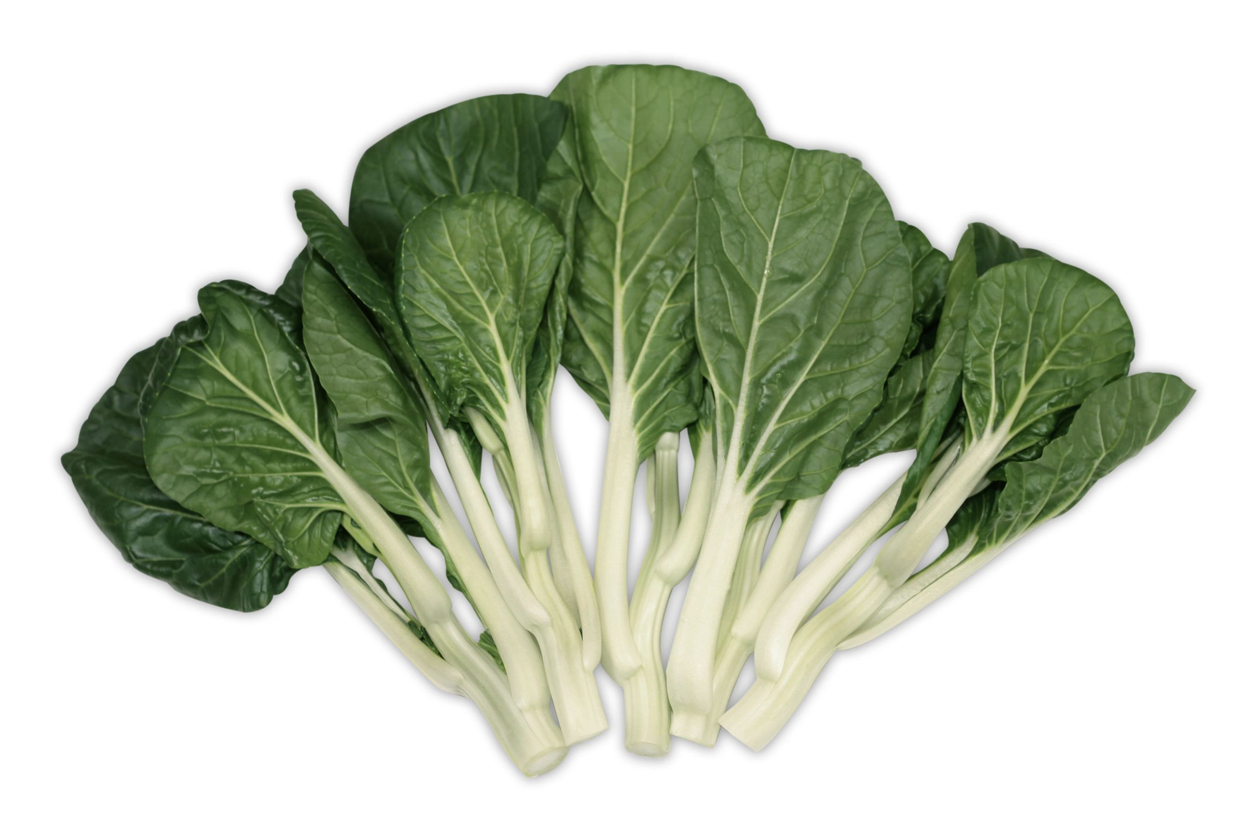Bok Choy - Sum