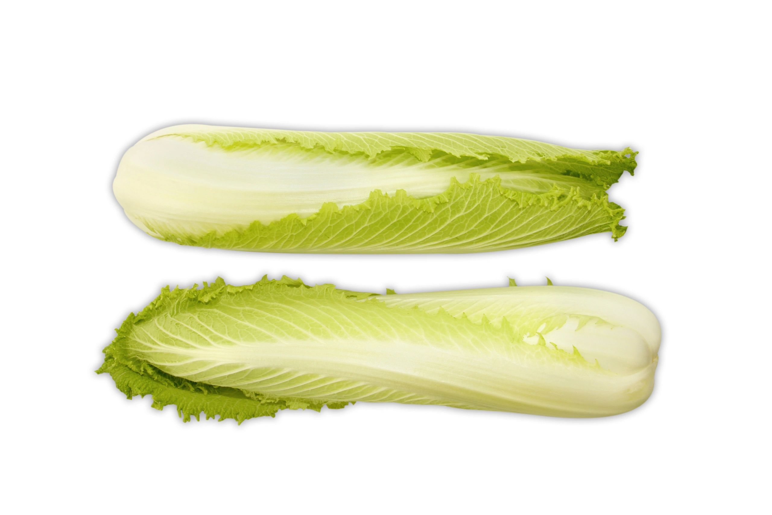 Cabbage - Long Nappa