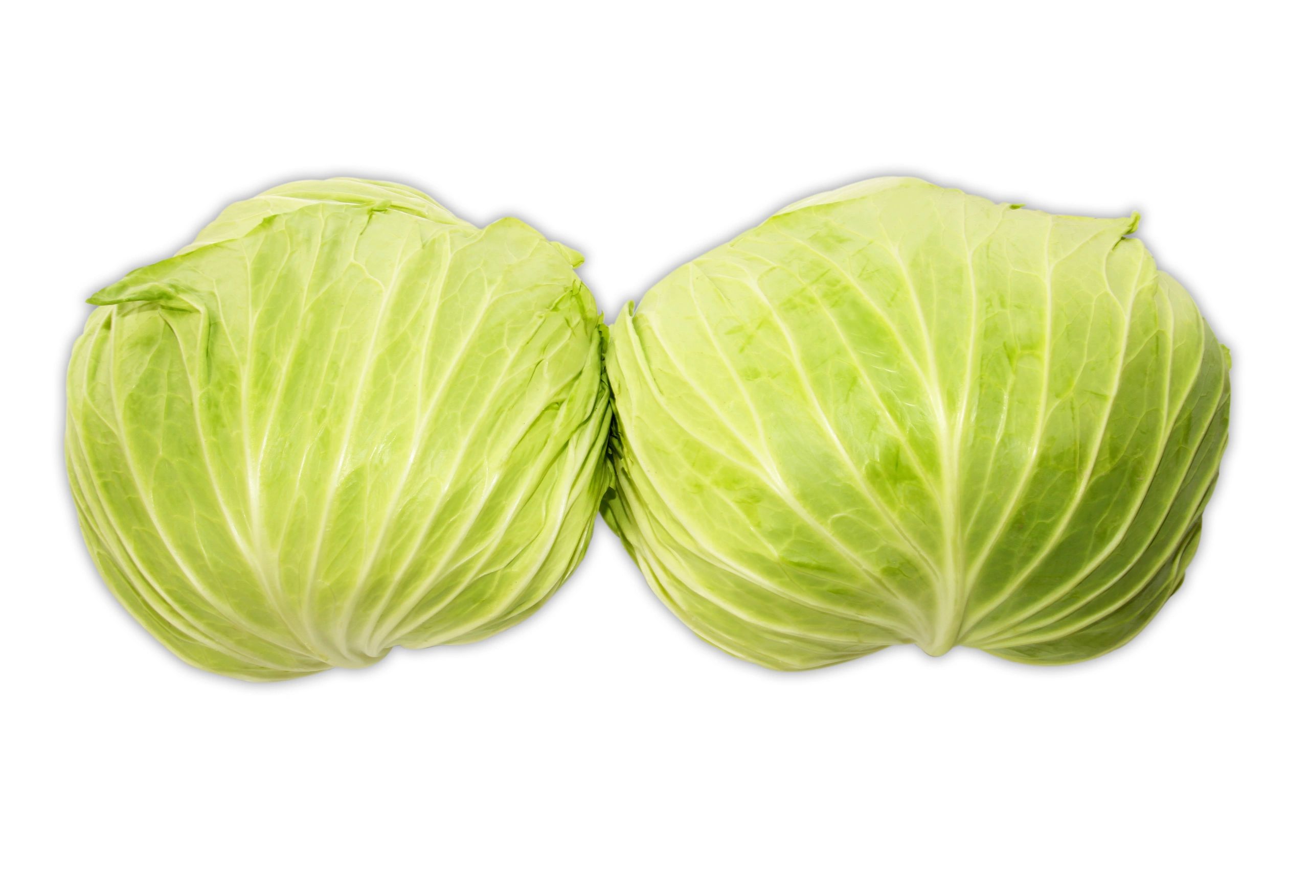 Cabbage