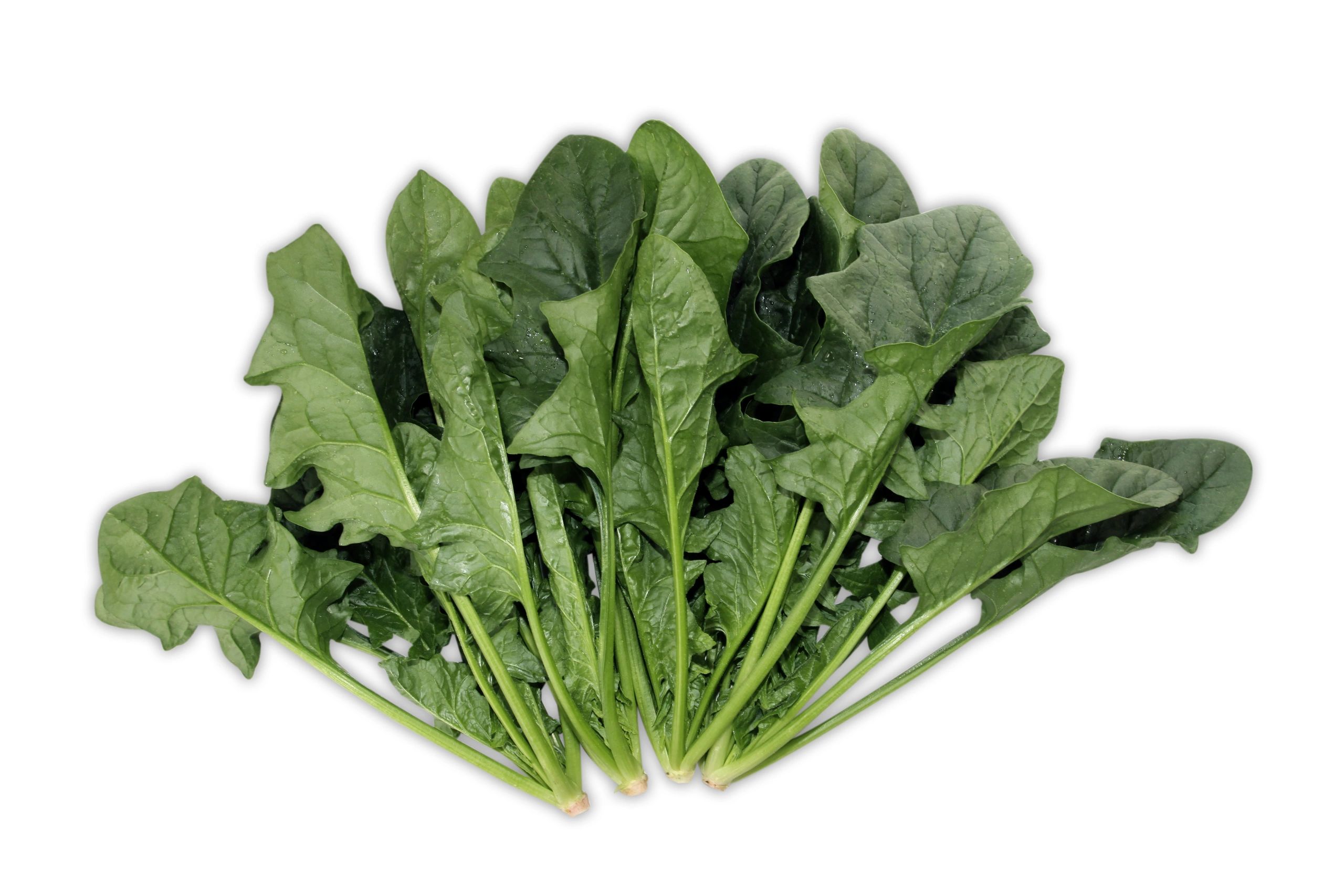 Chinese Spinach