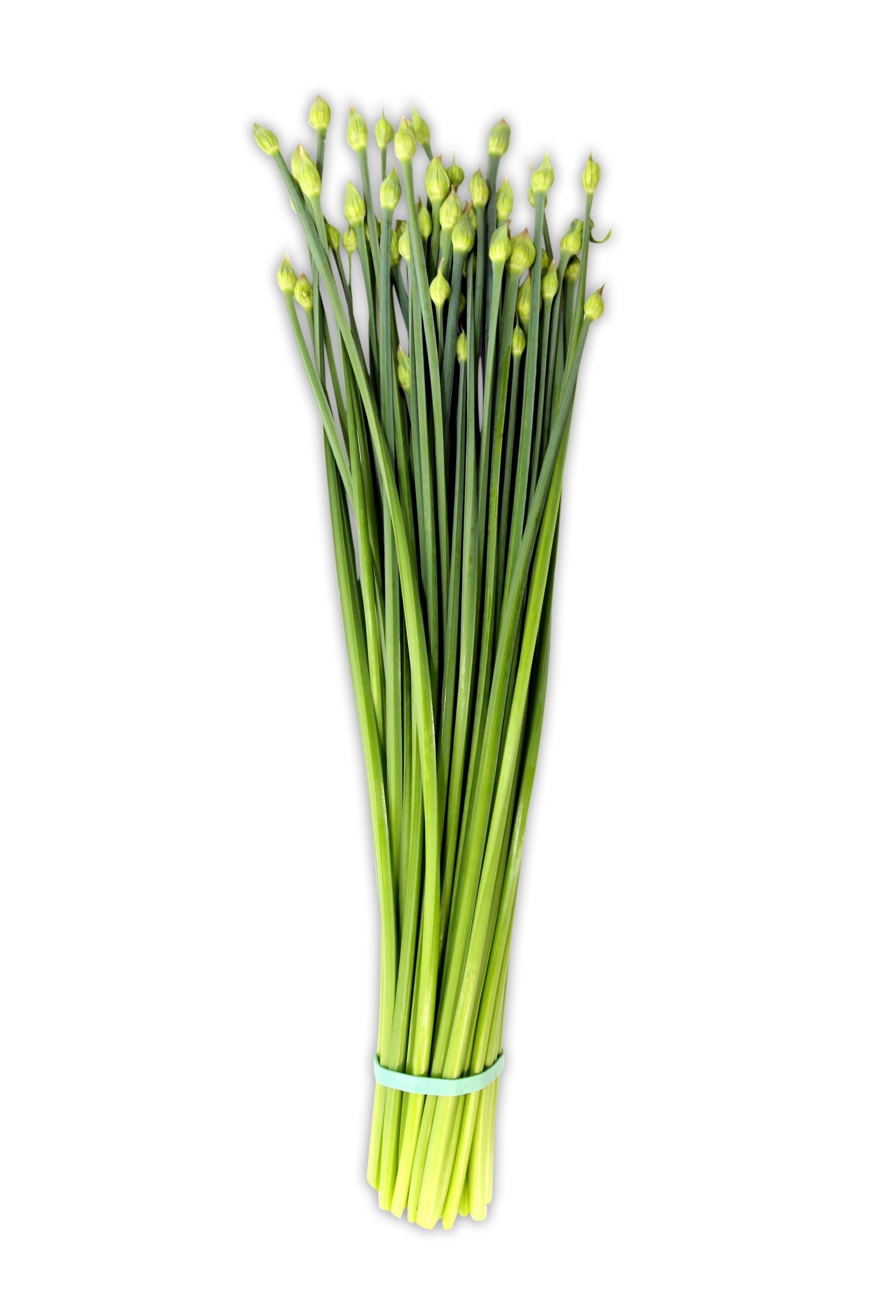 Chive - Nira - Flower