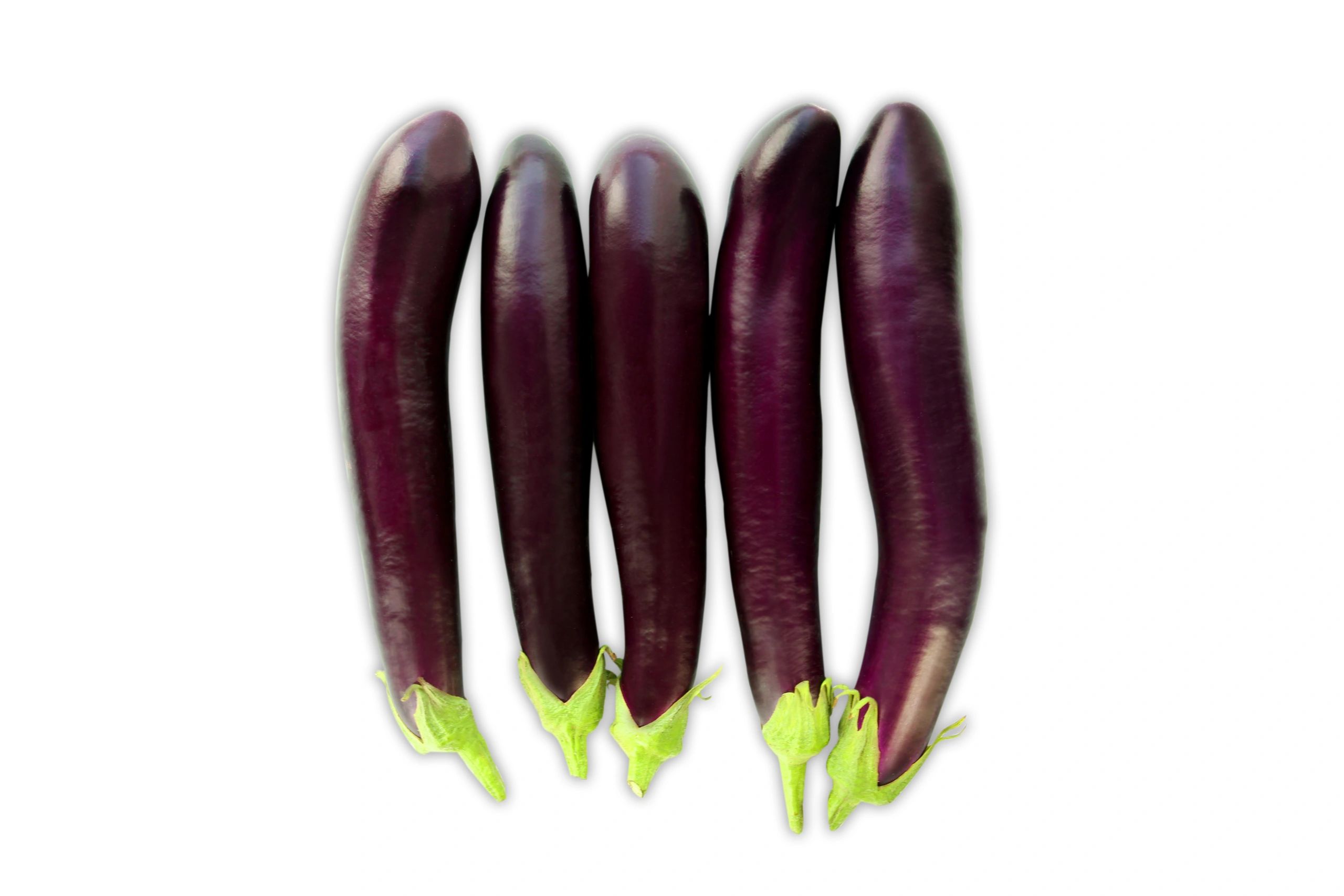 Eggplant