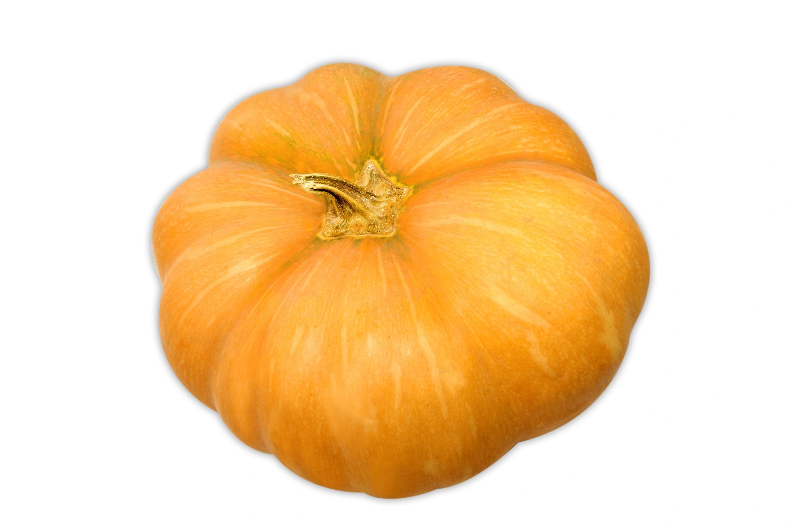 Pumpkin