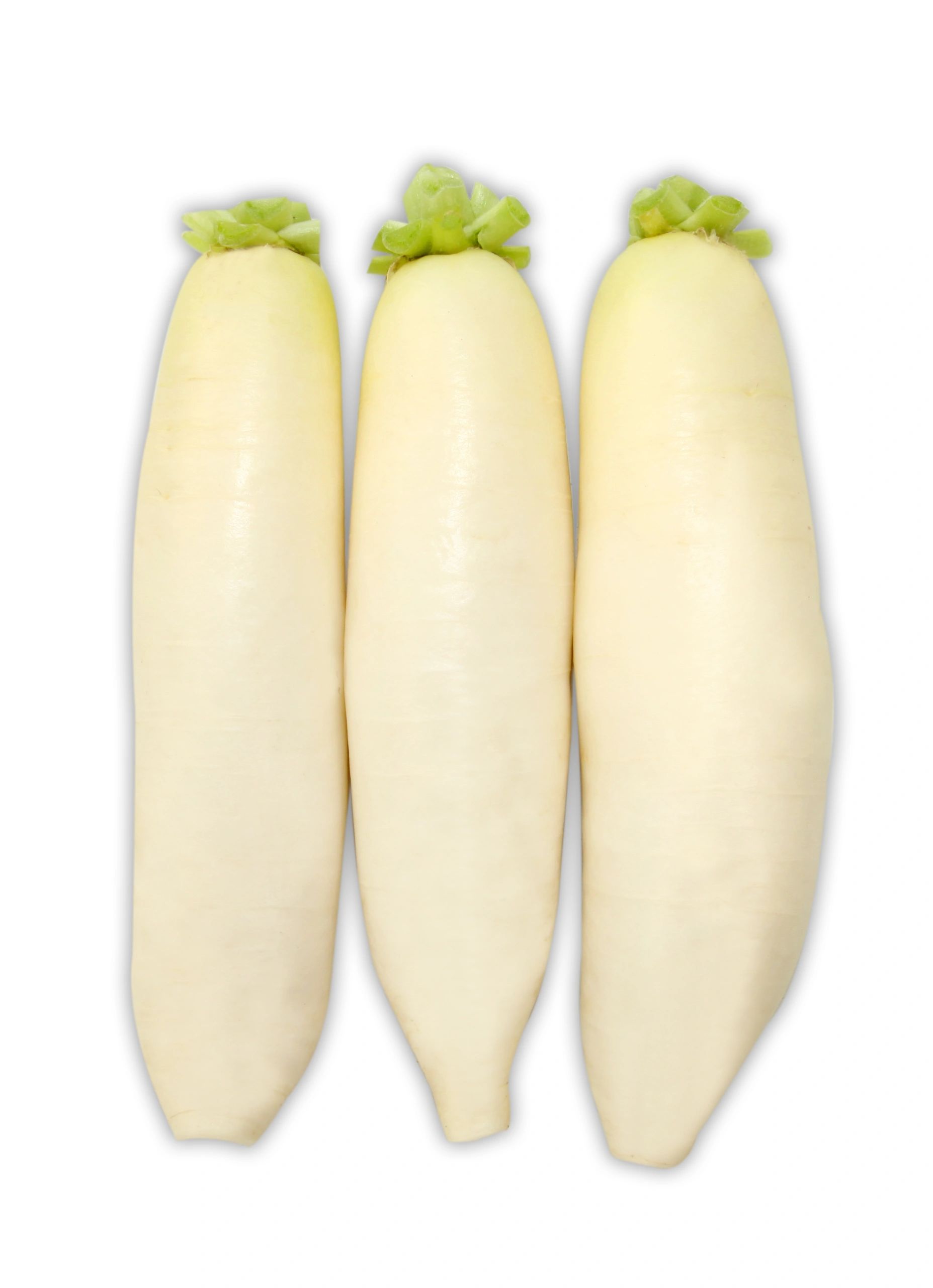 Radish - White