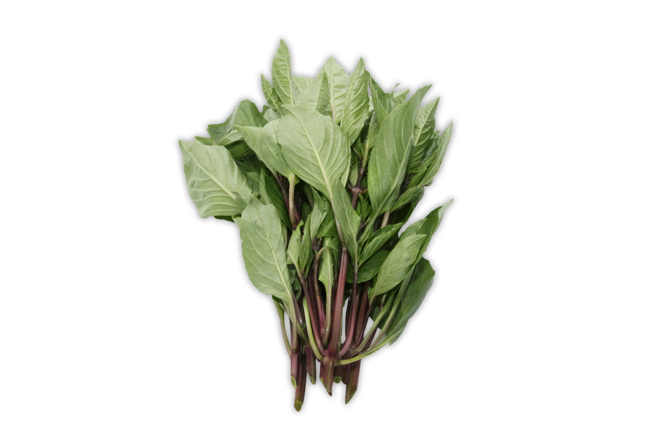 Thai Basil
