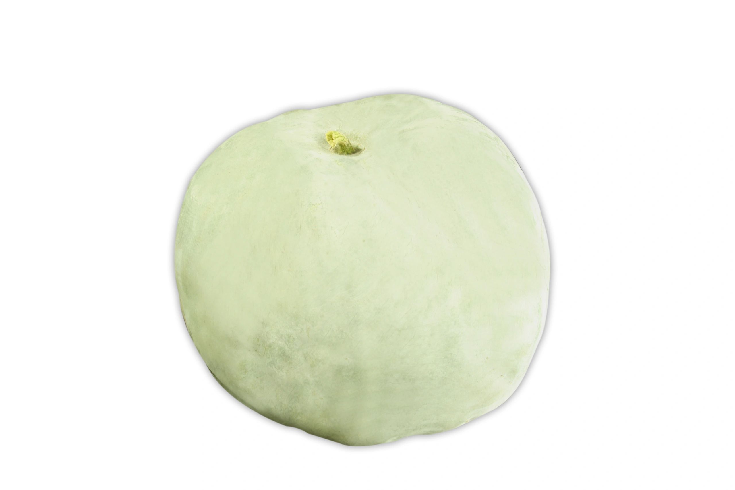 Winter Melon - Big