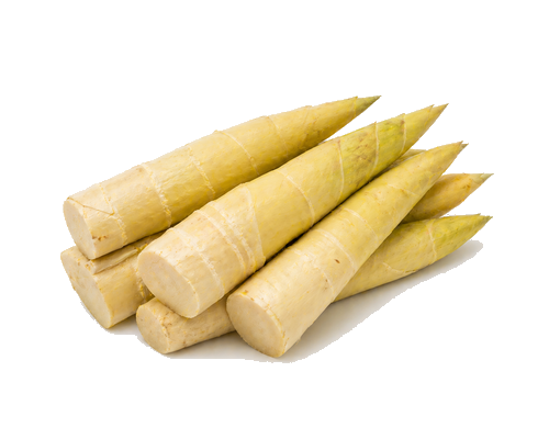 Bamboo Shoot